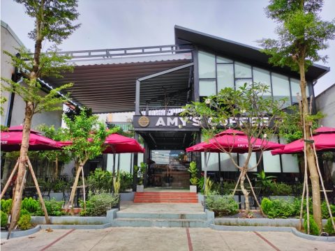 Amy's Coffee | Cafe Scene