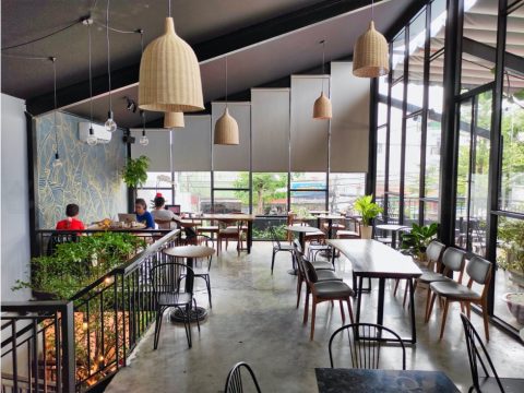 Amy's Coffee | Cafe Scene